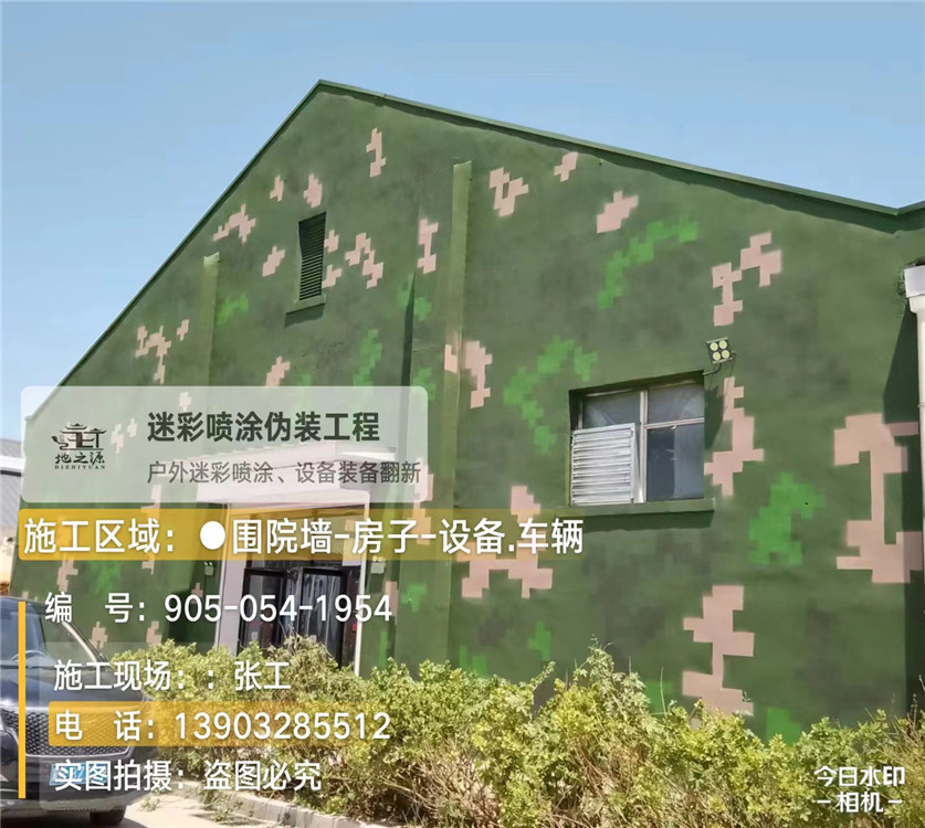 广元外墙数码迷彩漆施工报价清单（100㎡标准墙面测算）